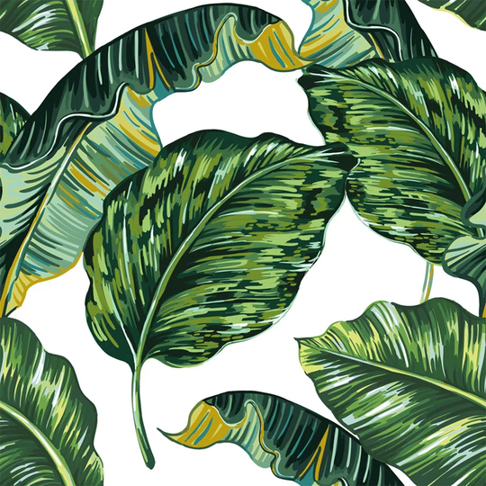 Walllpaper Roll 208X146cm Mural Decoration Wallpaper Material With Print Kitchen Livingroom Bedroom - Monstera