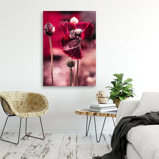Canvas Print Red Poppy