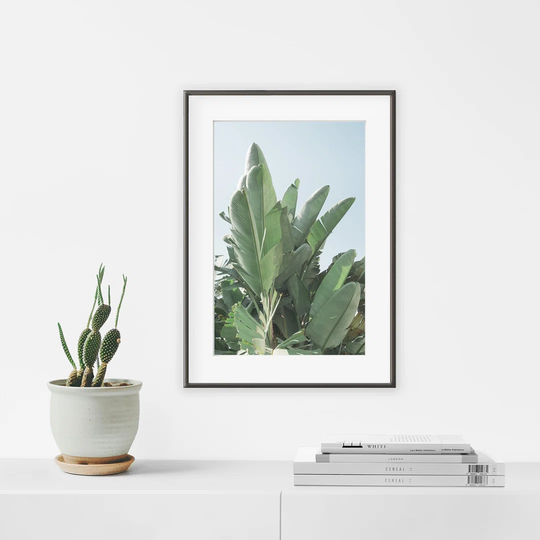 Banana Leaf - Picture Frame Photograph Print on Paper