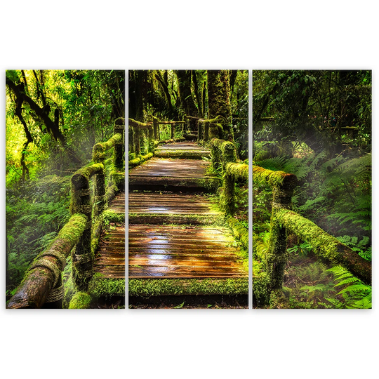 Canvas Print Forest Bridge Nature Green