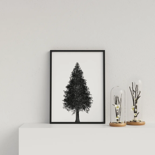 Pointed Tree on White Background by Vouvart - Picture Frame Graphic Art