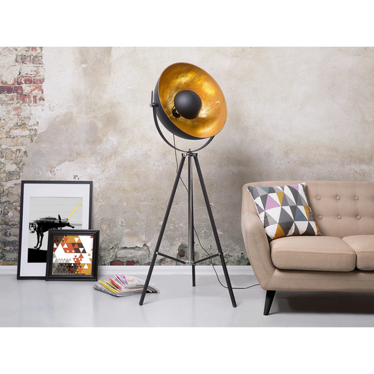 Caringorm 165cm Tripod Floor Lamp