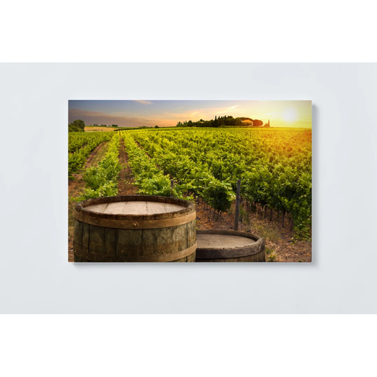 Vineyards Magnetic Wall Mounted Cork Board
