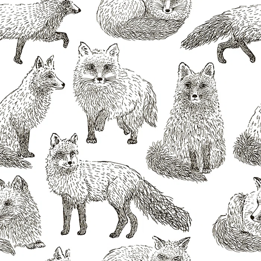 Walllpaper Roll 290X290cm Kitchen Livingroom Bedroom Mural Decoration Wallpaper Material With Print - Foxes