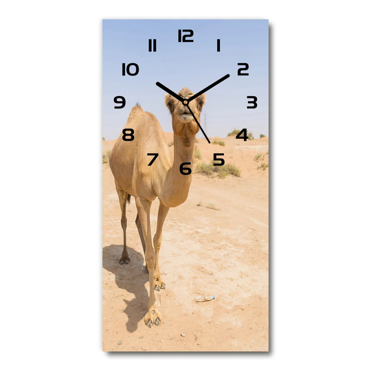 Jameon Silent Wall Clock
