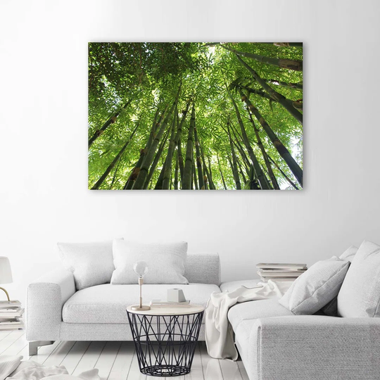Canvas Print Bamboo Forest Nature