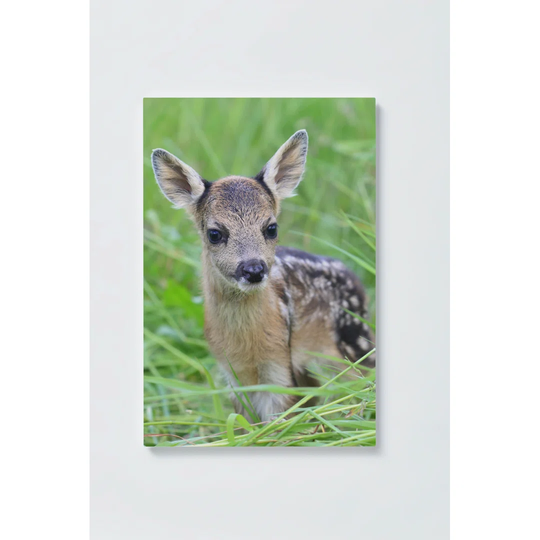 Fawn Motif Magnetic Wall Mounted Cork Board