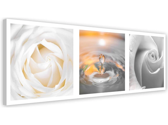 Canvas Print White Roses Flowers Panorama