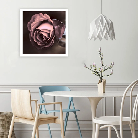 Canvas Print Beautiful Pink Rose Blossom
