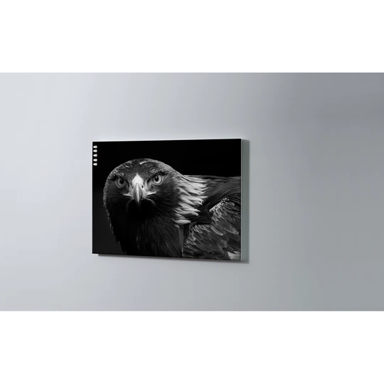 Eagle Magnetic Wall Mounted Cork Board