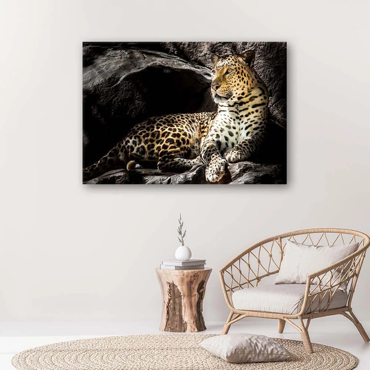 Canvas Print Leopard Animals Rocks
