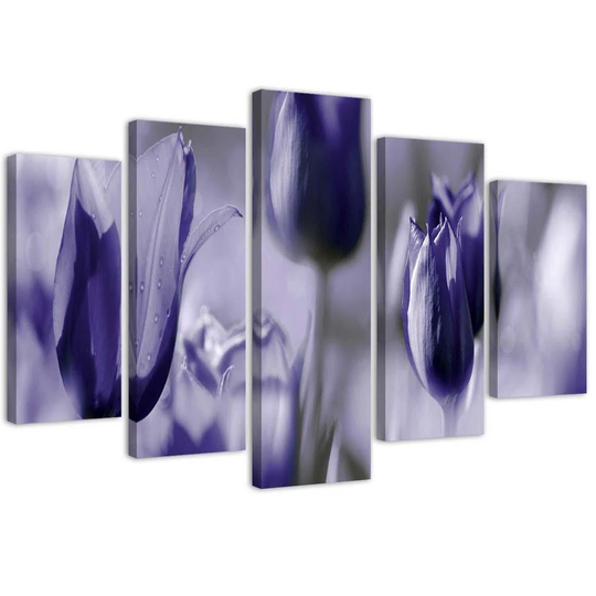Tulips Flower