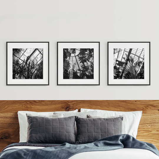 Botanic Garden Triptych - 3 Piece Picture Frame Photograph Print Set on Paper