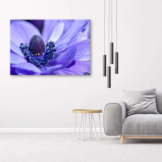 Canvas Print Nature Flower Purple