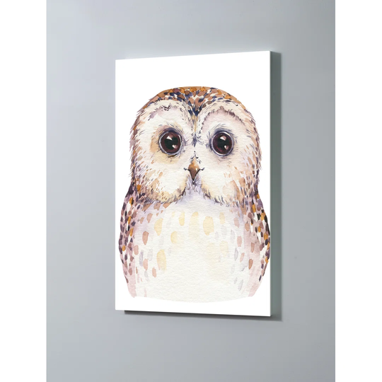 Owl Magnetic Wall Mounted Cork Board