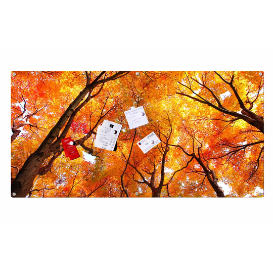 Tree Magnetic Wall Mounted Photo Memo Board