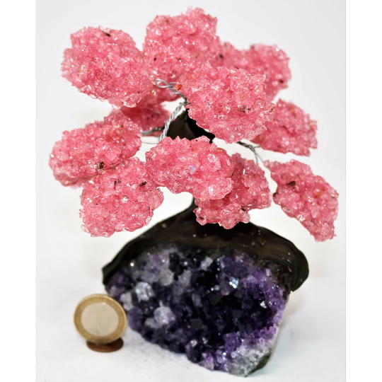 Rose Quartz Geode on Amethyst the Love Tree Borehamwood Crystal