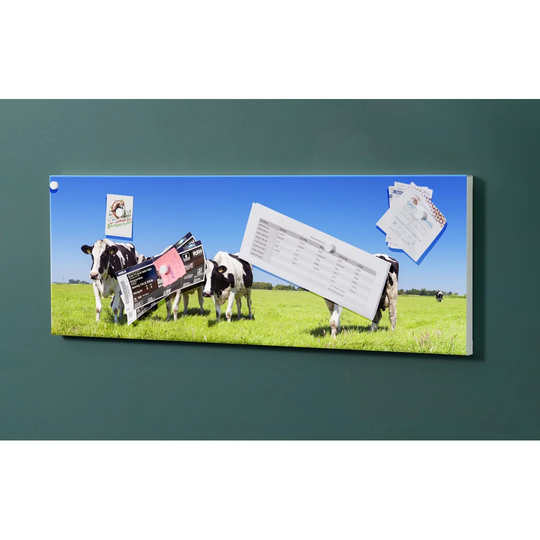 Notiz Motive Cows Magnetic Wall Mounted Cork Board