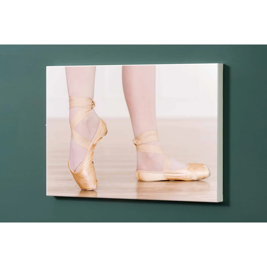 Ballerina Magnetic Wall Mounted Photo Memo Board