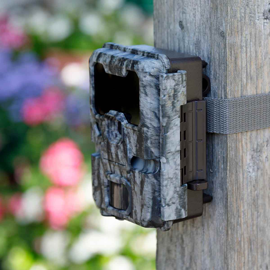 Gardenature Trail Buddy WiFi Wildlife Camera - Camo