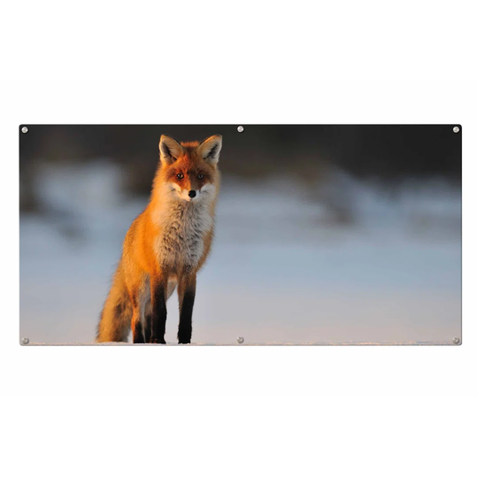 Fox Magnetic Wall Mounted Photo Memo Board