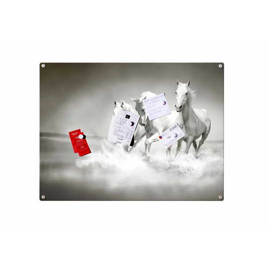 Horses Magnetic Wall Mounted Photo Memo Board