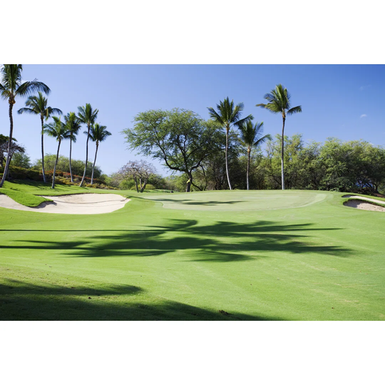 Beautiful Golf Course
