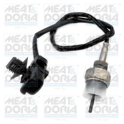 Sensor, exhaust gas temperature 12305E