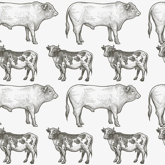 Walllpaper Roll 416X254cm Kitchen Livingroom Bedroom Mural Decoration Wallpaper Material With Print - Rural Cows