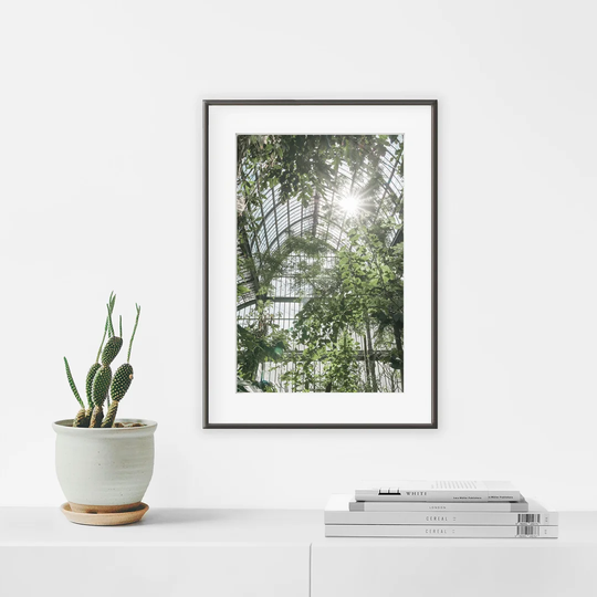 Greenhouse 1 - Picture Frame Photograph Print on Paper