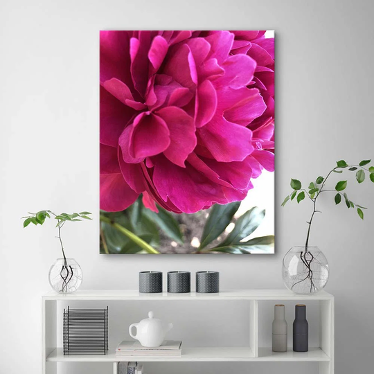 Canvas Print Peony Pink Flower Nature