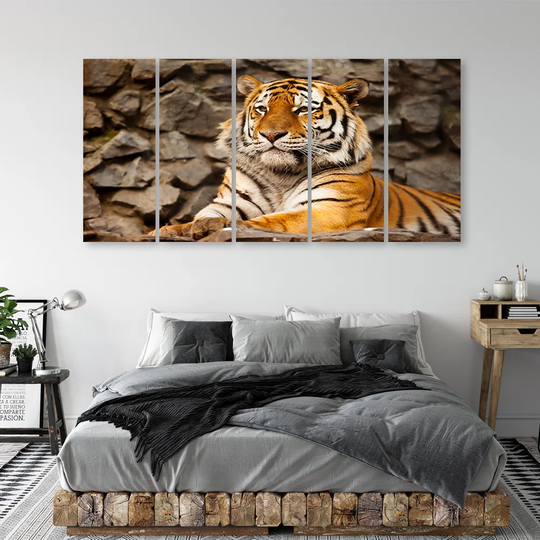 Canvas Print Africa Tiger Animals