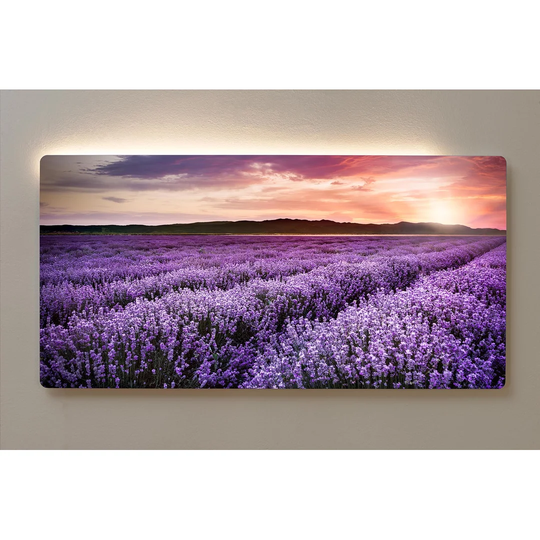 Backlight Motive Wall Picture Meadow Sunset Magnetic Cork Board