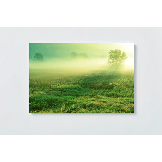 Morning Dew Magnetic Wall Mounted Cork Board