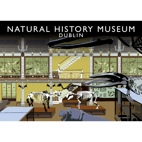 'National History Museum Dublin' Graphic Art