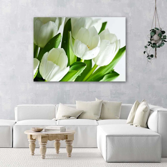 Canvas Print White Tulips Flower