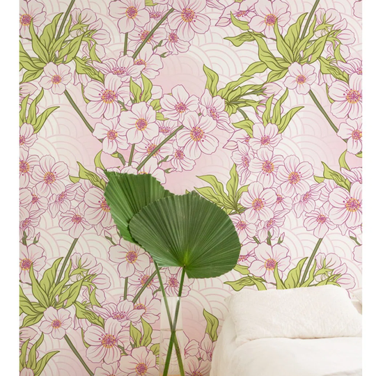Carrollvalley Cherry Blossom Floral Flowers Wallpaper