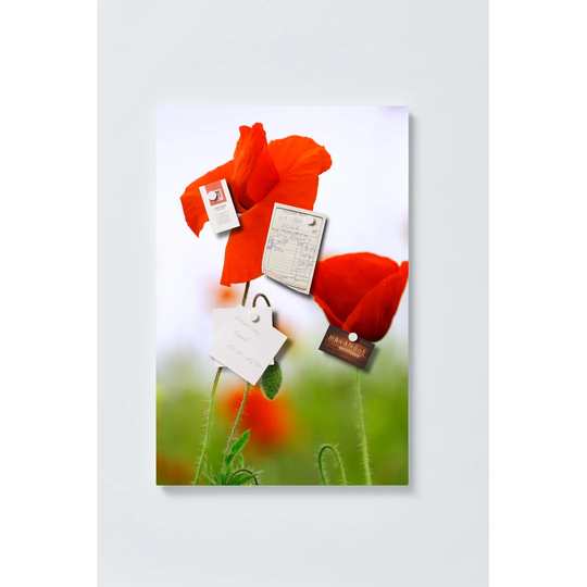 Poppy Flowers Magnetic Wall Mounted Cork Board