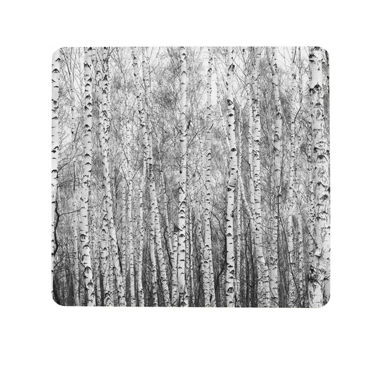 Birch Forest Magnetic Wall Mounted Magnetic Board