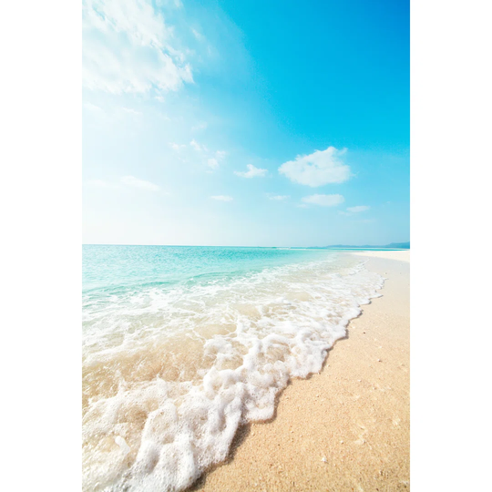 Tropical Seascape