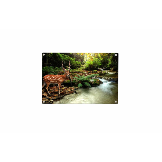Deer Forest Magnetic Wall Mounted Photo Memo Board