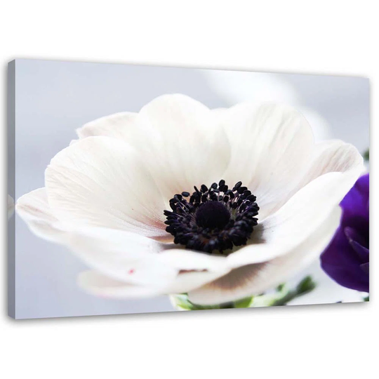 Canvas Print Flower White Nature