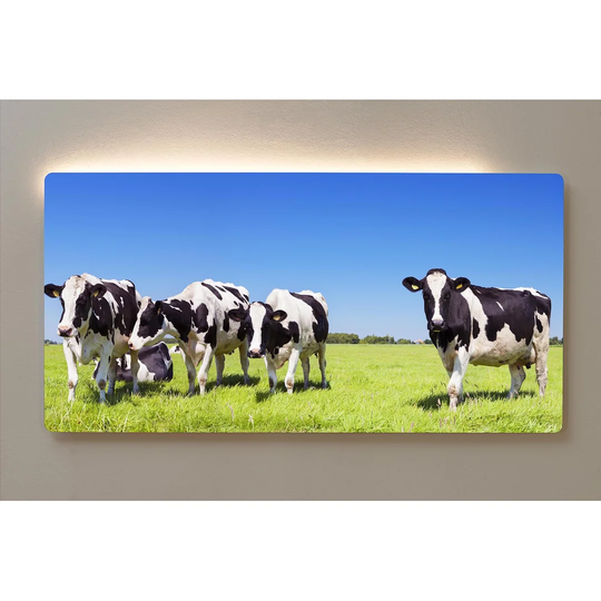 Backlight Motive Wall Picture Cows Magnetic Cork Board