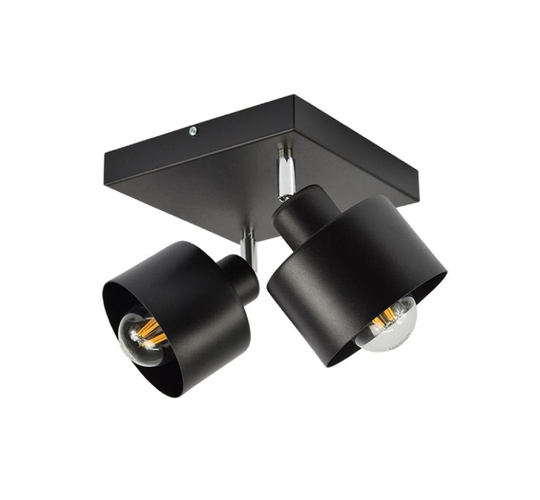 2-Light 20cm Ceiling Spotlight