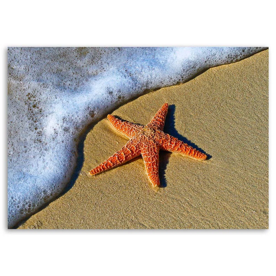Canvas Print Starfish Beach Sand