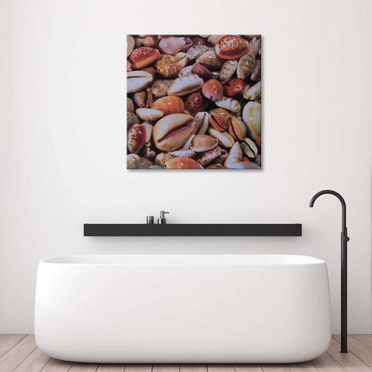 Canvas Print Shells Sea Nature