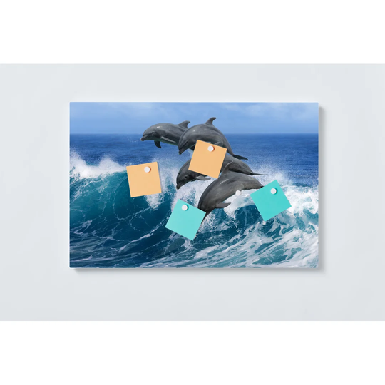 Dolphins Magnetic Wall Mounted Cork Board