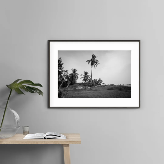 Dark Palm Trees - Picture Frame Photograph Print on Paper