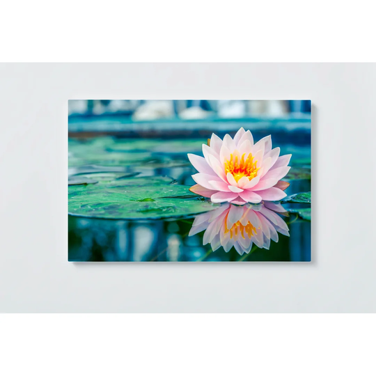 Water Lily Magnetic Wall Mounted Cork Board