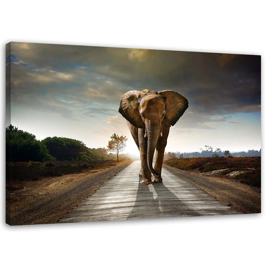Canvas Print Elephant On The Street Africa Nature